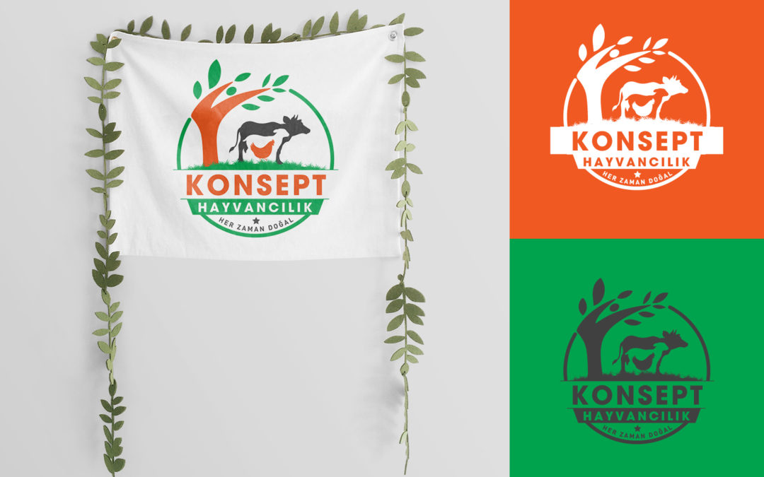 Konsept Tasarım